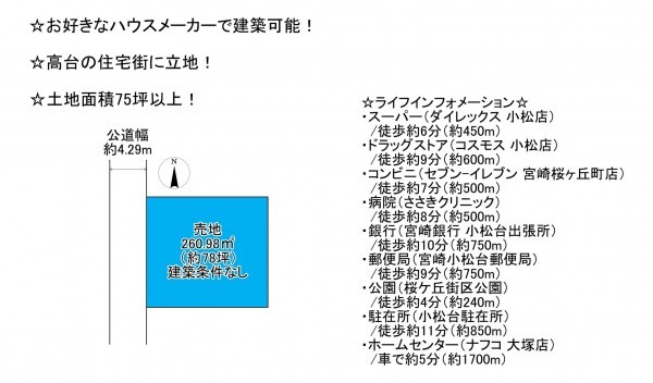 宮崎市桜ケ丘町、土地の間取り画像です