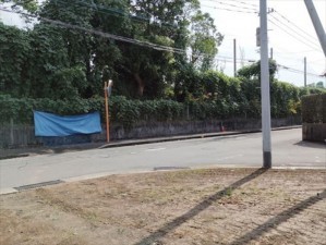 宮崎市大坪東、土地の画像です