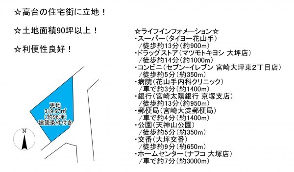宮崎市大坪東、土地の間取り画像です