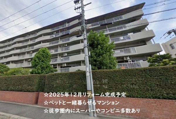 大阪市城東区鴫野西、マンションの外観画像です