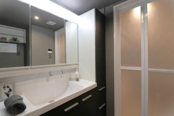 大阪市東成区深江南、マンションの洗面画像です