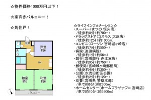 宮崎市城ケ崎、マンションの間取り画像です