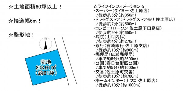 宮崎市佐土原町下田島、土地の間取り画像です