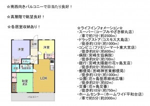 宮崎市大島町、マンションの間取り画像です