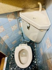 大阪市旭区高殿、中古一戸建てのトイレ画像です
