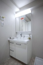 大阪市城東区中央、マンションの洗面画像です