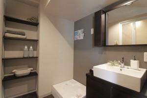 大阪市城東区中央、マンションの洗面画像です