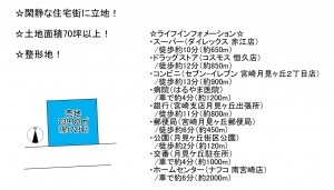 宮崎市月見ケ丘、土地の間取り画像です
