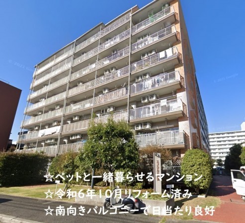 大阪市鶴見区鶴見、マンションの外観画像です