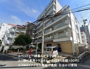 大阪市城東区野江、マンションの外観画像です