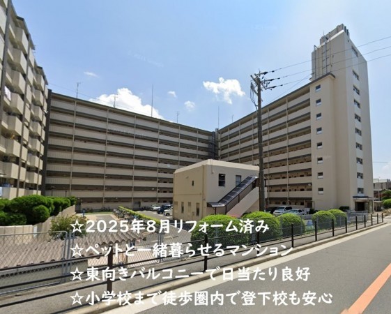 大阪市旭区高殿、マンションの外観画像です