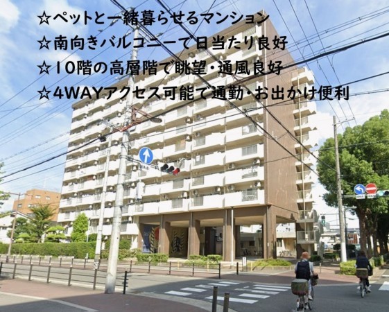 大阪市城東区関目、マンションの外観画像です