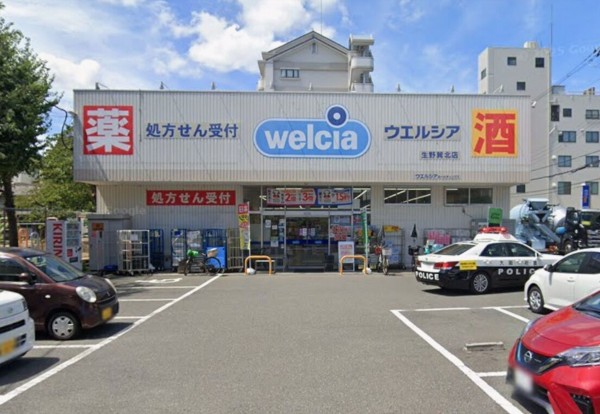 大阪市生野区巽東、中古一戸建てのドラッグストア画像です