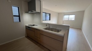 大阪市生野区鶴橋、新築一戸建てのキッチン画像です