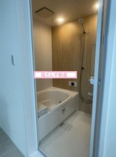 大阪市生野区桃谷、中古一戸建ての風呂画像です