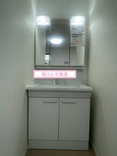 大阪市生野区桃谷、中古一戸建ての洗面画像です