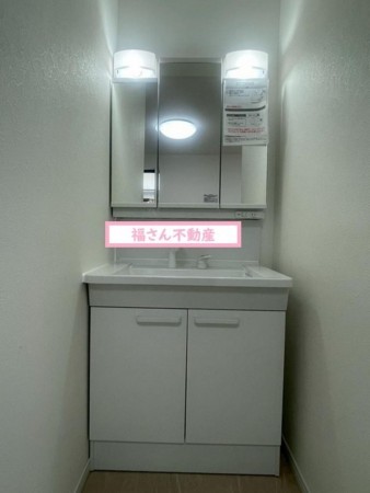 大阪市生野区桃谷、中古一戸建ての洗面画像です