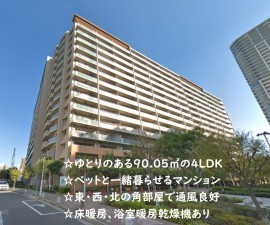 大阪市都島区善源寺町、マンションの外観画像です