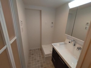 大阪市城東区関目、マンションの洗面画像です