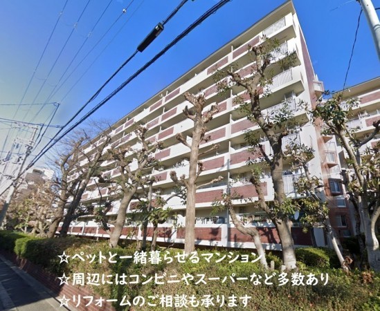 大阪市鶴見区横堤、マンションの外観画像です