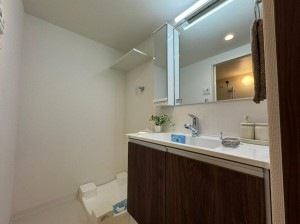 大阪市旭区高殿、マンションの洗面画像です