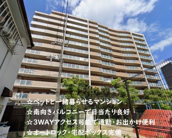 大阪市東成区中本、マンションの外観画像です