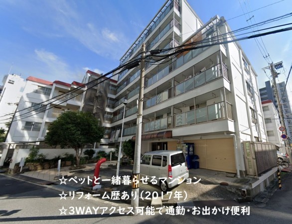 大阪市城東区野江、マンションの外観画像です