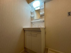 大阪市旭区大宮、マンションの洗面画像です