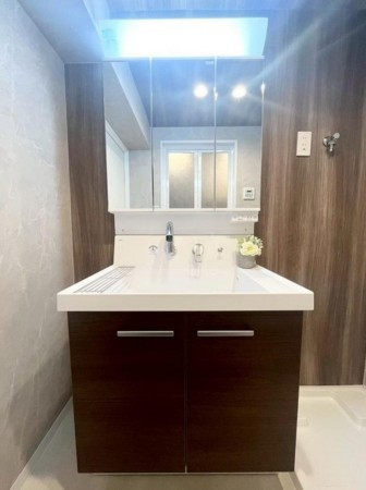 大阪市都島区友渕町、マンションの洗面画像です