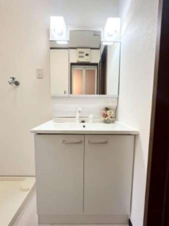 大阪市城東区東中浜、中古一戸建ての洗面画像です