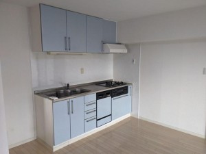 大阪市生野区新今里、マンションのキッチン画像です