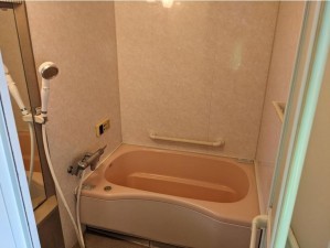 大阪市生野区新今里、マンションの風呂画像です