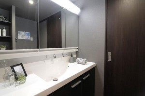 大阪市鶴見区今津南、マンションの洗面画像です