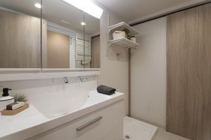 大阪市鶴見区鶴見、マンションの洗面画像です