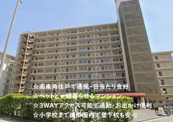 大阪市城東区関目、マンションの外観画像です