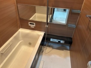 大阪市生野区巽中、中古一戸建ての風呂画像です