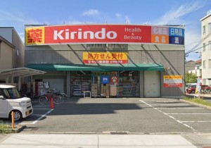 大阪市生野区林寺、中古一戸建てのドラッグストア画像です