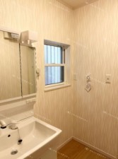 大阪市生野区舎利寺、中古一戸建ての洗面画像です