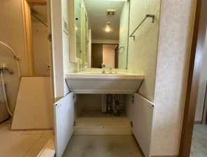 大阪市城東区今福東、マンションの洗面画像です