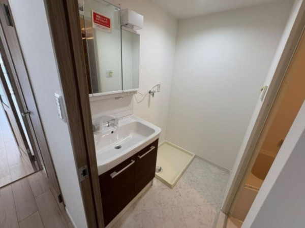大阪市都島区大東町、マンションの洗面画像です