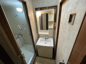 大阪市生野区巽南、中古一戸建ての洗面画像です