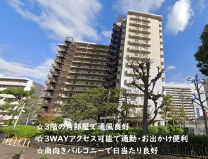 大阪市城東区成育、マンションの外観画像です