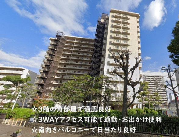 大阪市城東区成育、マンションの外観画像です
