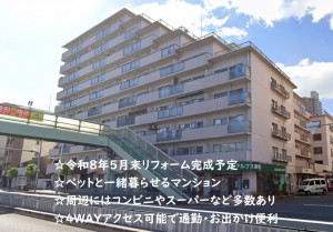 大阪市城東区中央、マンションの外観画像です