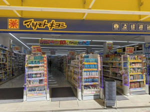 大阪市城東区鴫野東、中古一戸建てのドラッグストア画像です