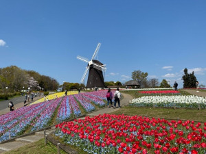大阪市鶴見区緑、中古一戸建ての公園画像です