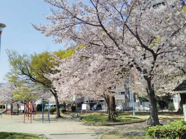 大阪市都島区御幸町、中古一戸建ての公園画像です