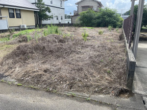 宮崎市佐土原町下田島、土地の画像です