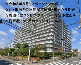 大阪市旭区高殿、マンションの外観画像です