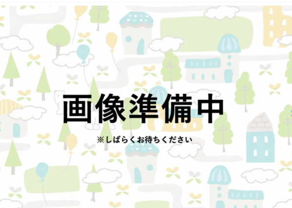 宮崎市吉村町、土地の間取り画像です